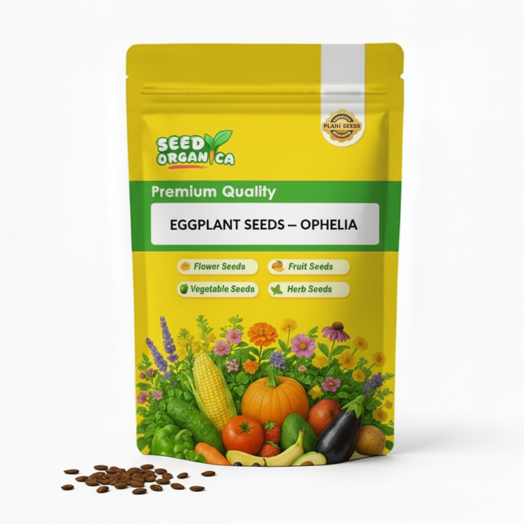 Eggplant Seeds – Ophelia