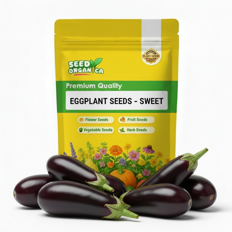 Eggplant Seeds – Sweet