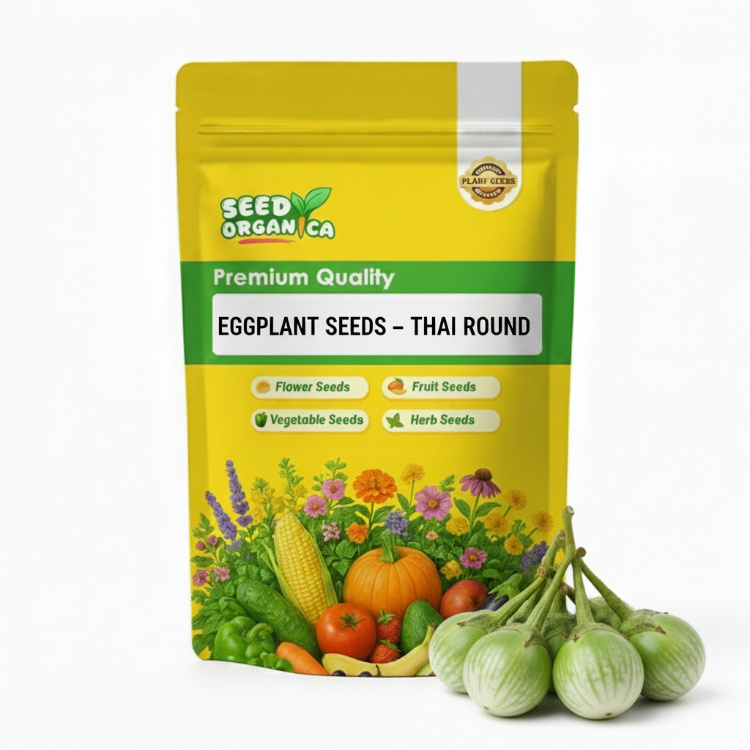 Eggplant Seeds – Thai Round