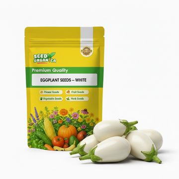Eggplant Seeds – White