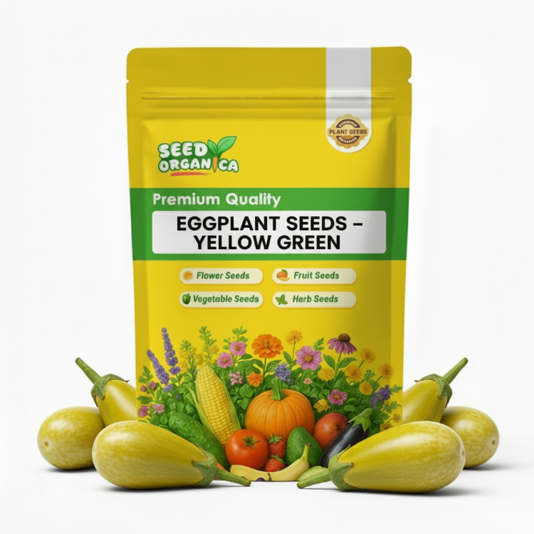Eggplant Seeds – Yellow Green