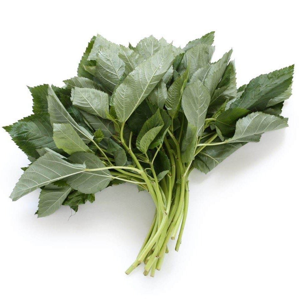 Egyptian Spinach Seeds – Corchorus olitorius