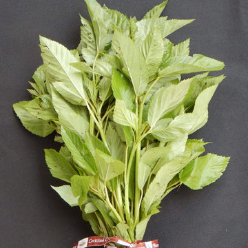Egyptian Spinach Seeds – Corchorus olitorius