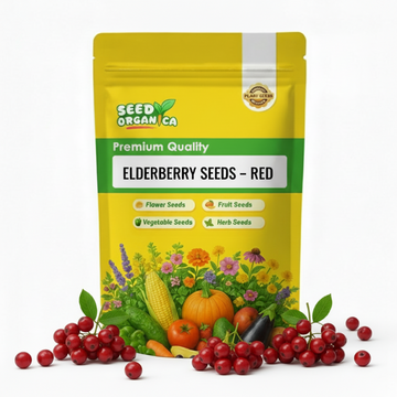 Elderberry Seeds – Red