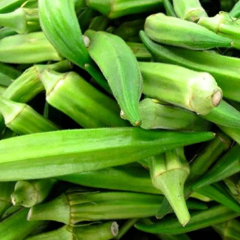Emerald Okra Seeds - Vegetable Plant For Home Gardens