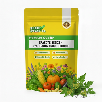 Epazote Seeds – Dysphania ambrosioides