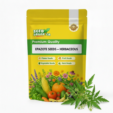 Epazote Seeds – Herbaceous