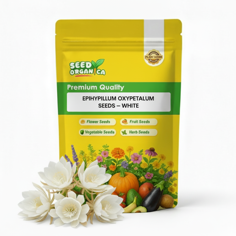 Epiphyllum Oxypetalum Seeds – White
