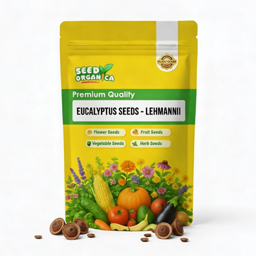 Eucalyptus Seeds – Lehmannii
