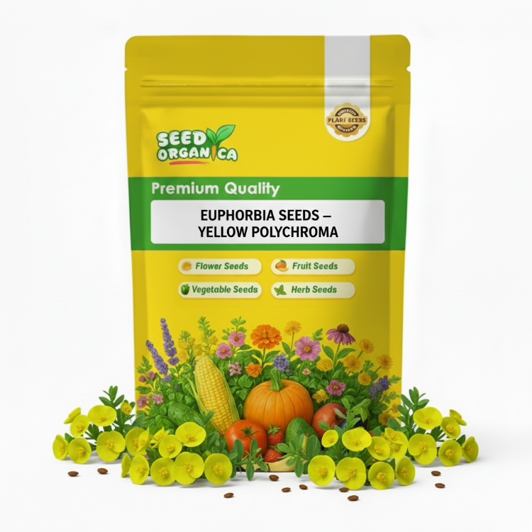 Euphorbia Seeds – Yellow Polychroma