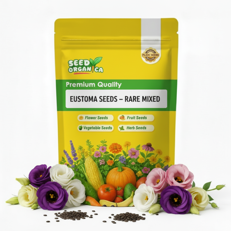 Eustoma Seeds – Rare Mixed