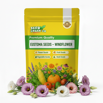 Eustoma Seeds – windflower
