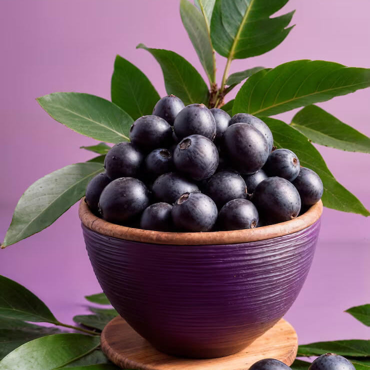 Euterpe oleracea Seeds - Fruit Plant