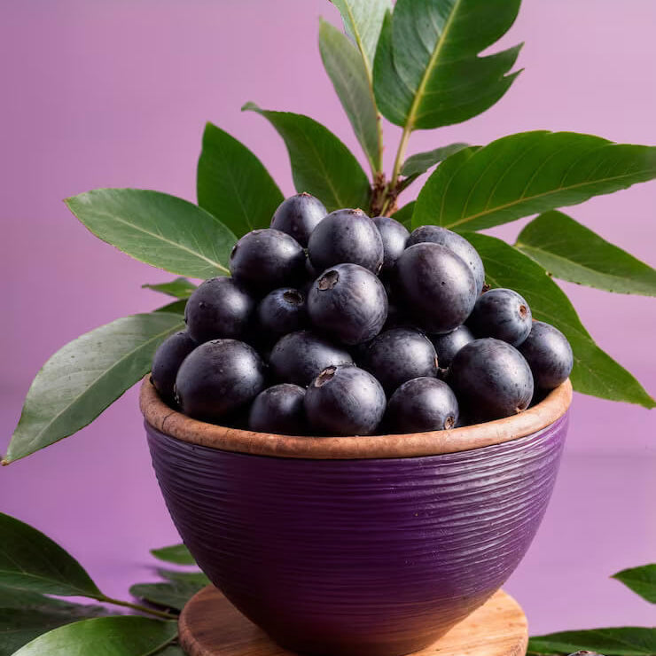 Euterpe precatoria Seeds - Fruit Plant