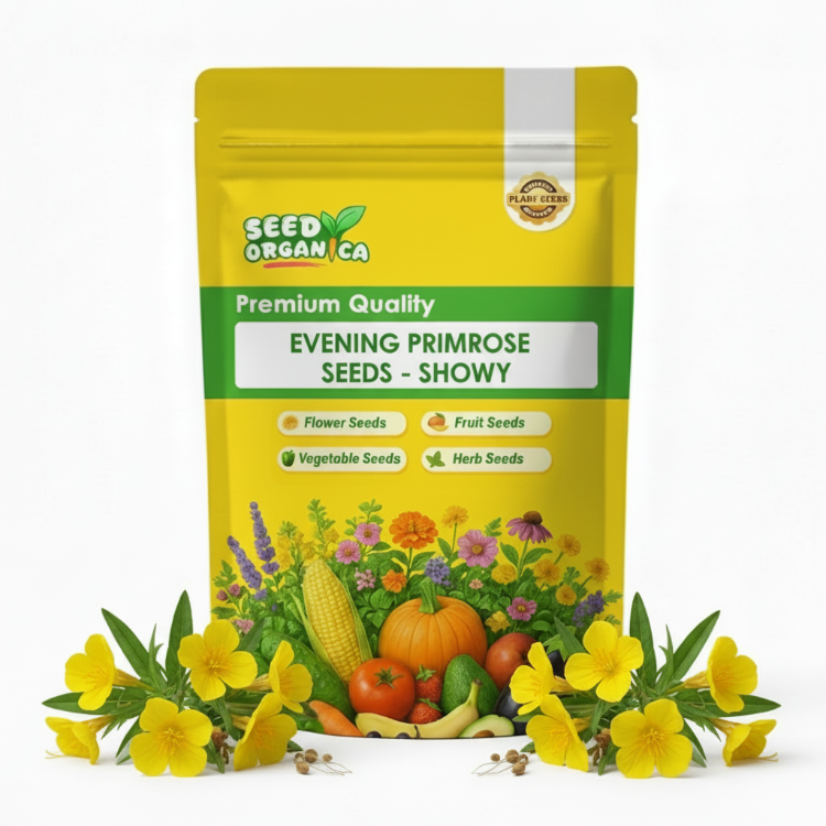 Evening Primrose Seeds - Showy