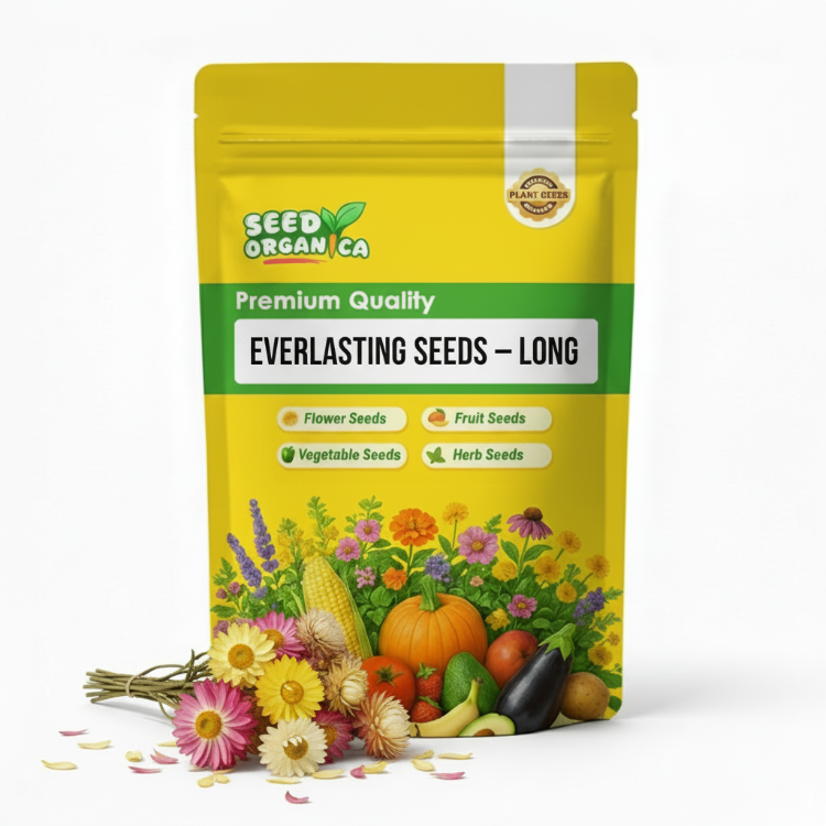 Everlasting Seeds – Long