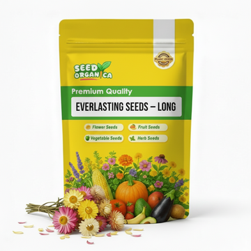 Everlasting Seeds – Long