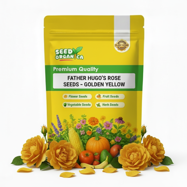 Father Hugo’s Rose Seeds – Golden Yellow