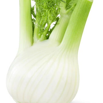 Fennel Seeds – White 