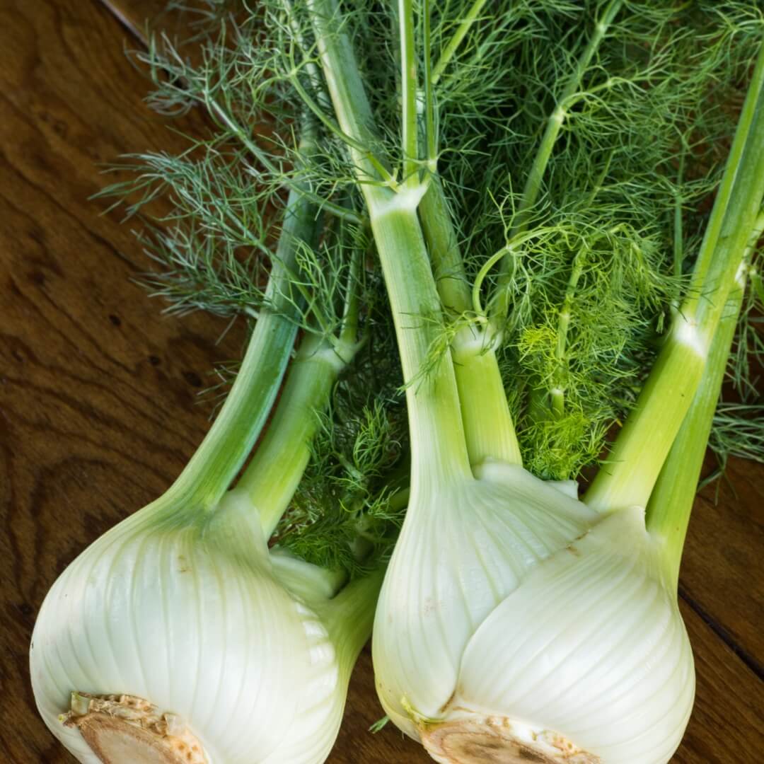 Fennel Vegetable Seeds - White