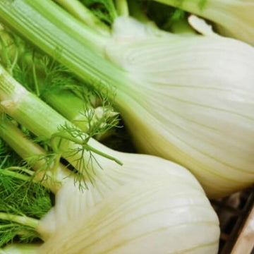 Fennel Vegetable Seeds