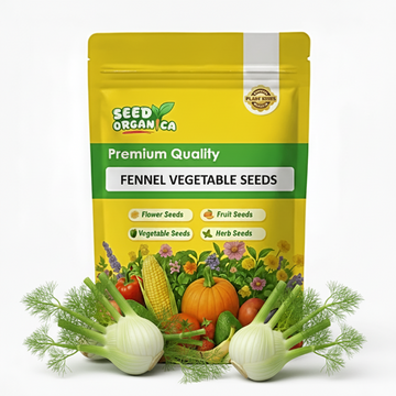 Fennel Vegetable Seeds