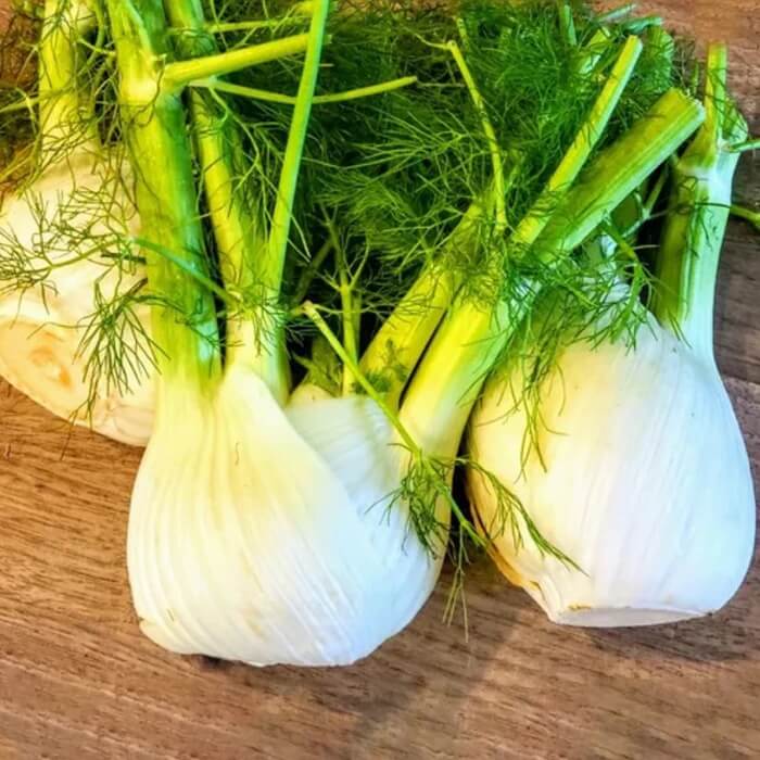 Fennel Vegetable Seeds