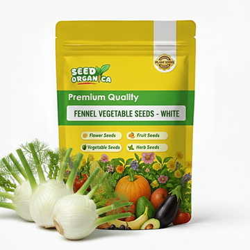Fennel Vegetable Seeds - White