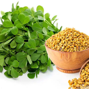 Fenugreek Seeds
