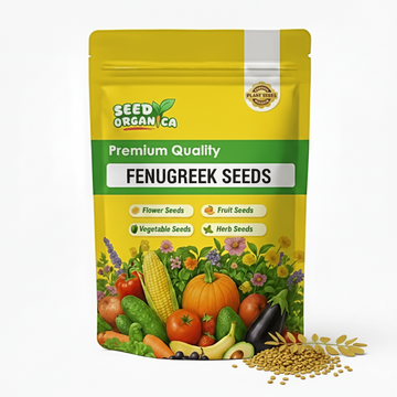 Fenugreek Seeds