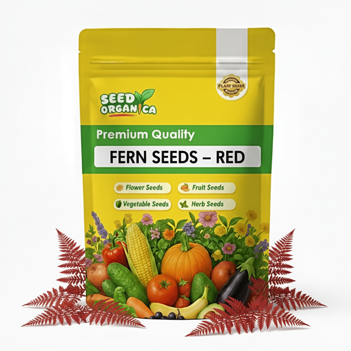 Fern Seeds – Red