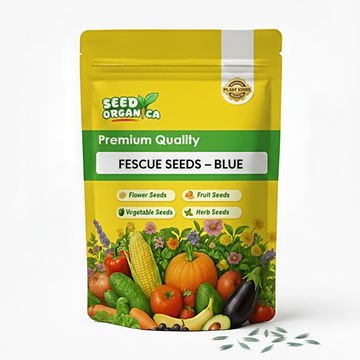Fescue Seeds – Blue