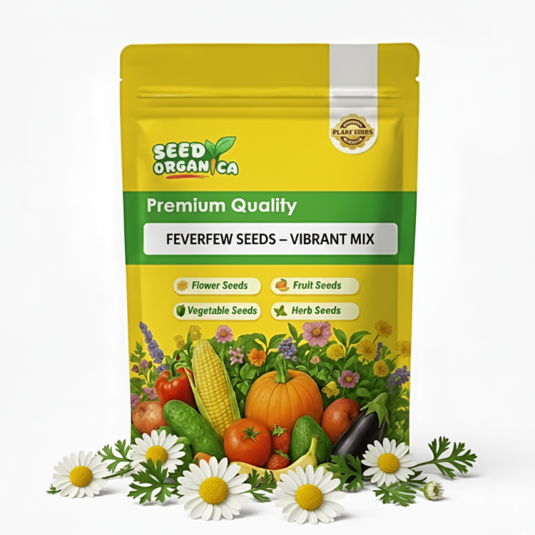 Feverfew Seeds – Vibrant Mix