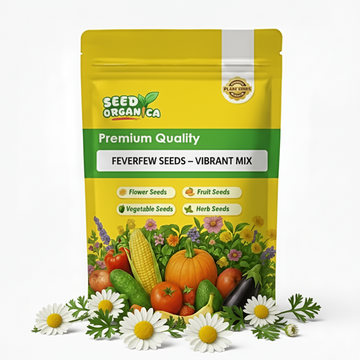 Feverfew Seeds – Vibrant Mix