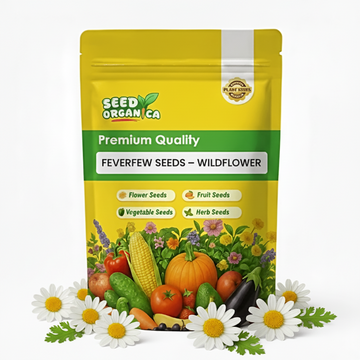 Feverfew Seeds – Wildflower