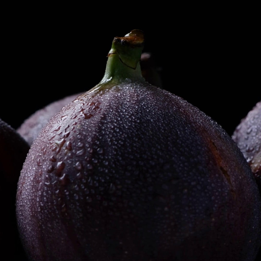 Fig Seeds – Black Madeira
