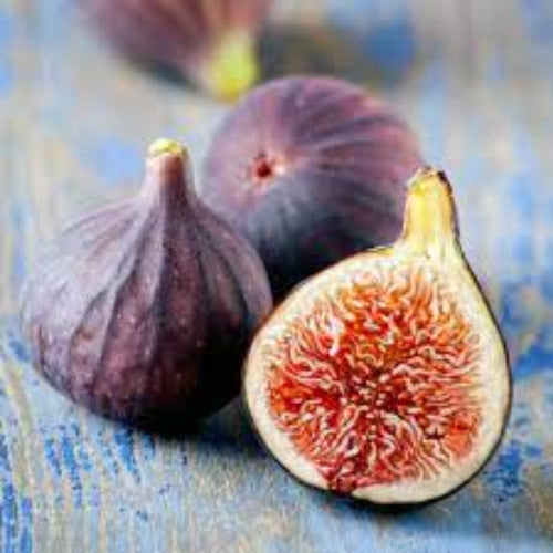 Fig Seeds – Burgundy
