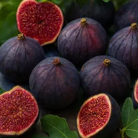 Fig Seeds – Rare