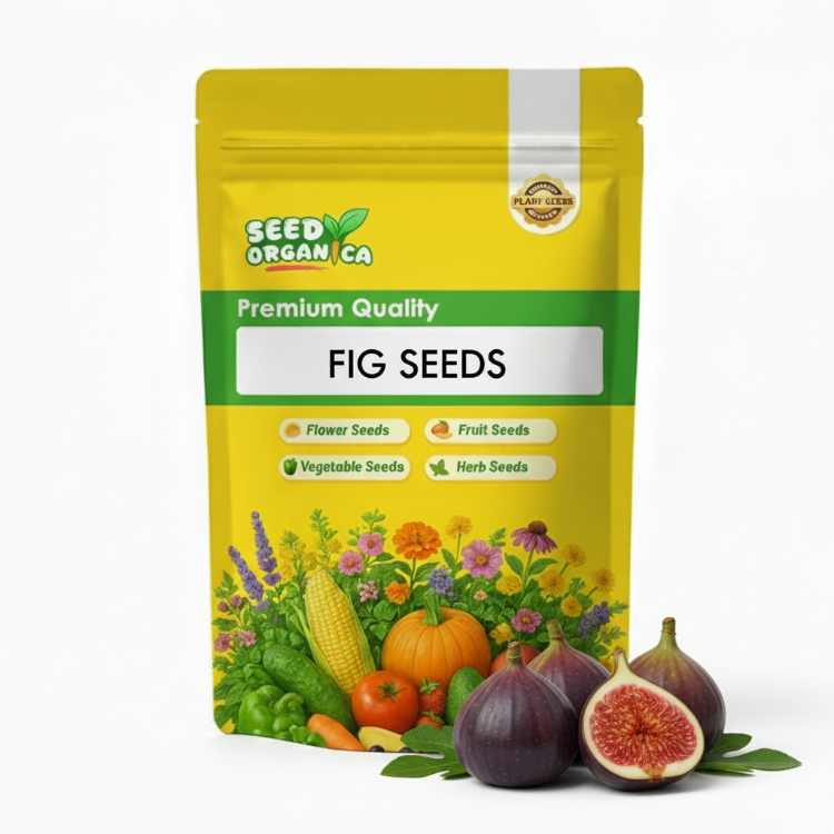 Fig Seeds