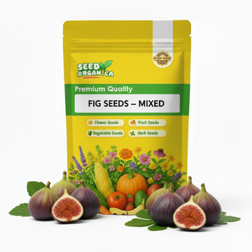 Fig Seeds – Mixed