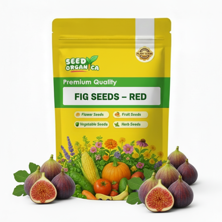 Fig Seeds – Red