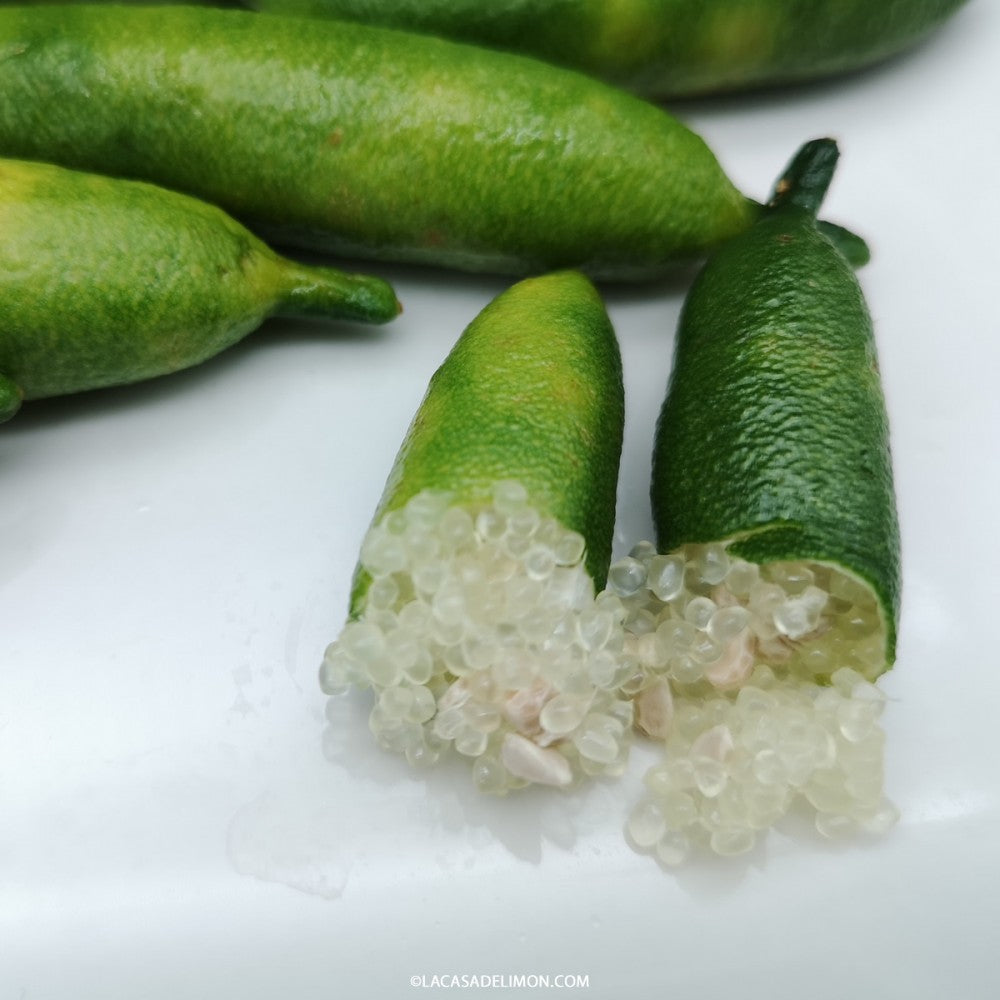 Finger Lime Seeds

