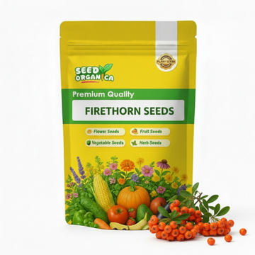 Firethorn Seeds