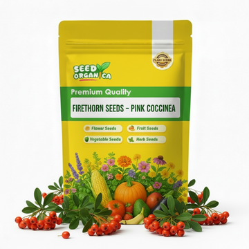 Firethorn Seeds – Pink Coccinea