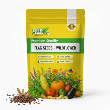 Flag Seeds – Wildflower