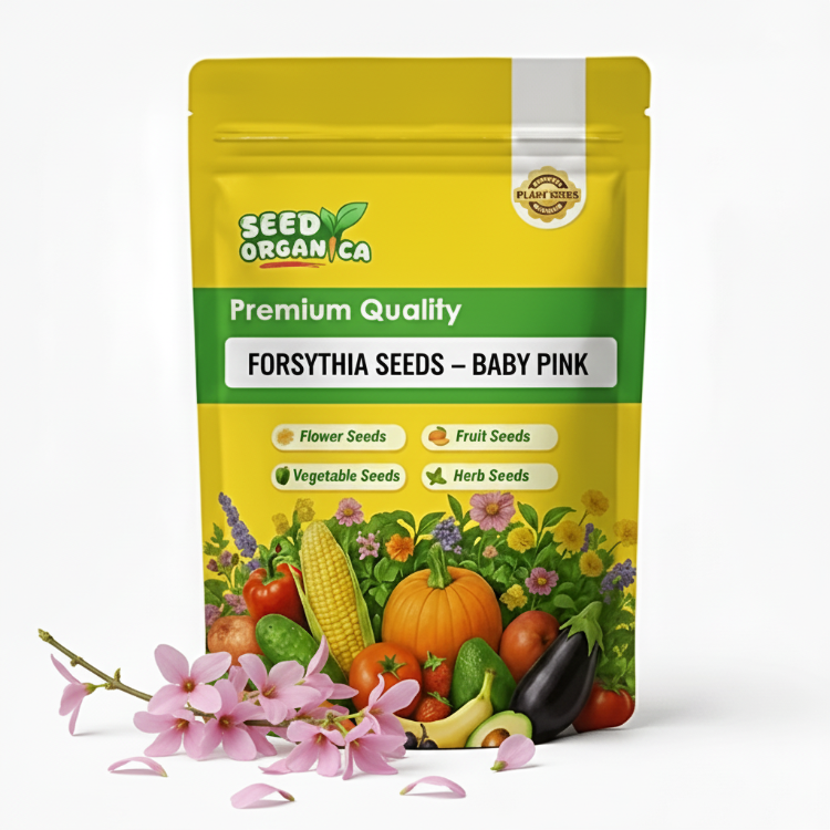 Forsythia Seeds – Baby Pink
