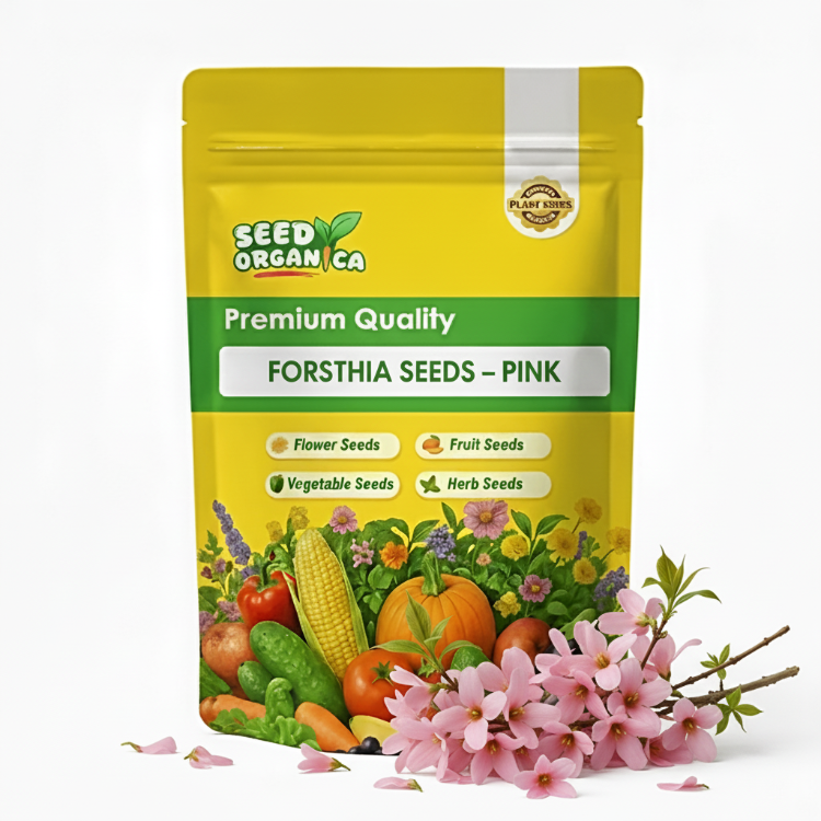 Forsythia Seeds – Pink
