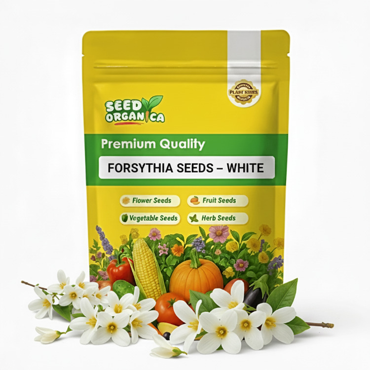 Forsythia Seeds – White