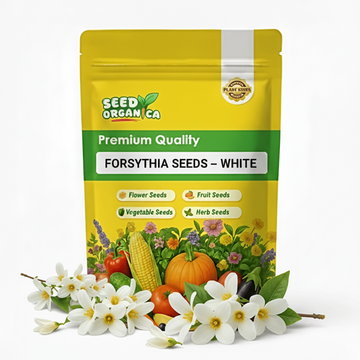 Forsythia Seeds – White
