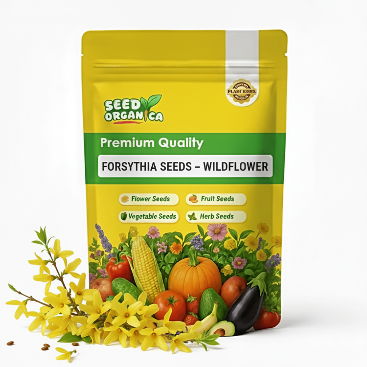 Forsythia Seeds – Wildflower